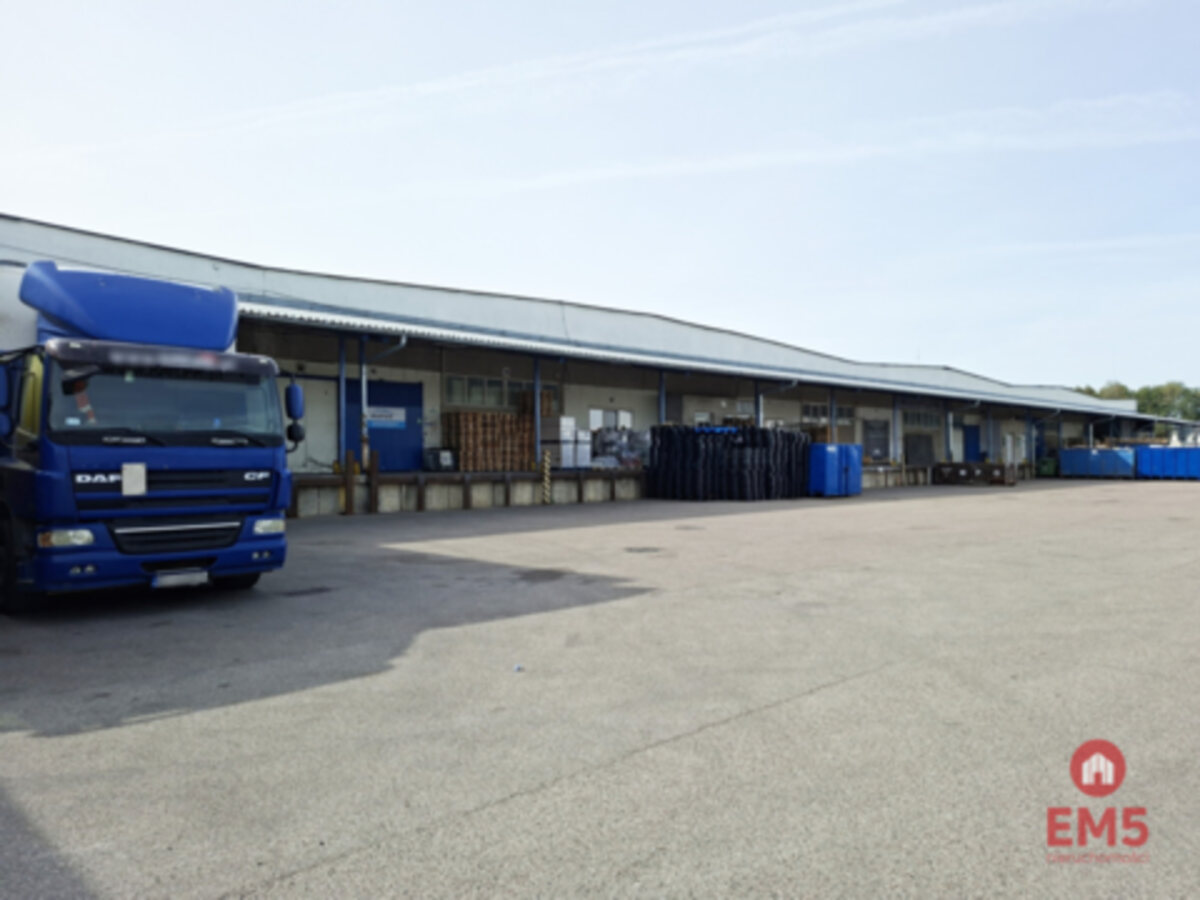 Hala - magazyn 4000 m2 – Kleosin – zdjęcie 1