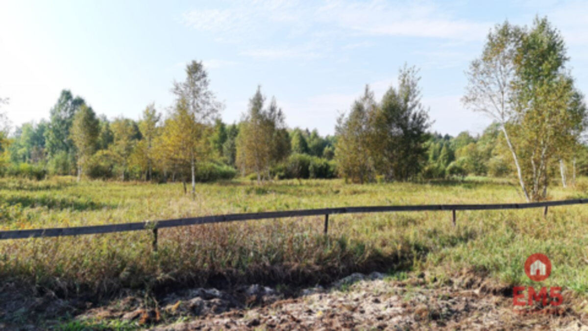 Ciasne. Działka budowlana 5100 m2. – Ciasne – zdjęcie 1