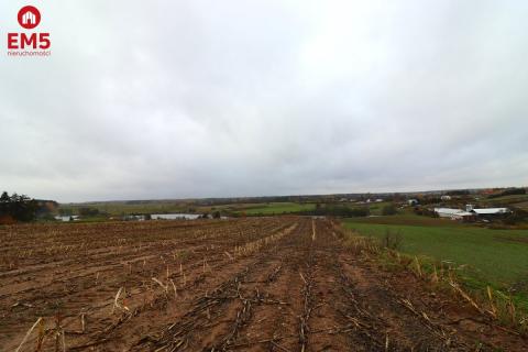 Działka rolno-budowlana - Żegary, gm. Sejny
