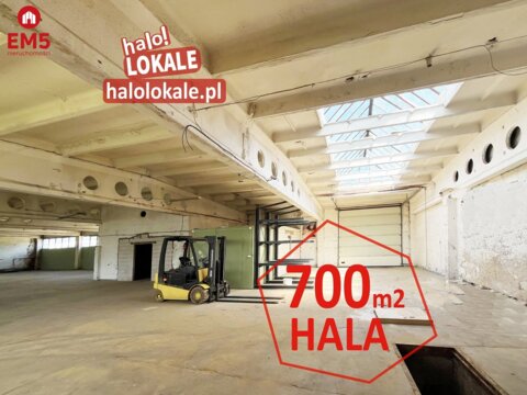 Magazyn, produkcja.  700 m2