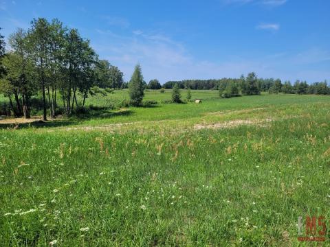 Jezioro, strefa ciszy, piękne widoki.