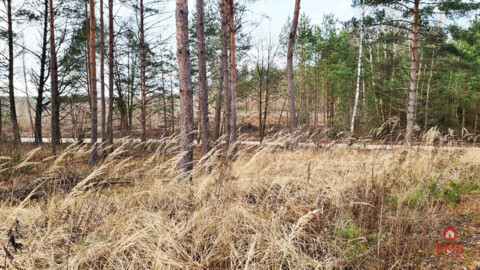 Działka 8500 m2, Jurowce