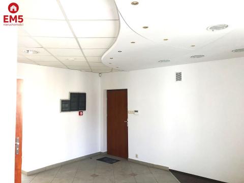 Ścisłe centrum 300 m2 parter plus piętro