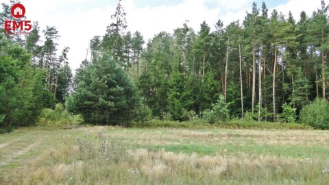 Budowlano - rolna 1,04 ha. Pod miastem