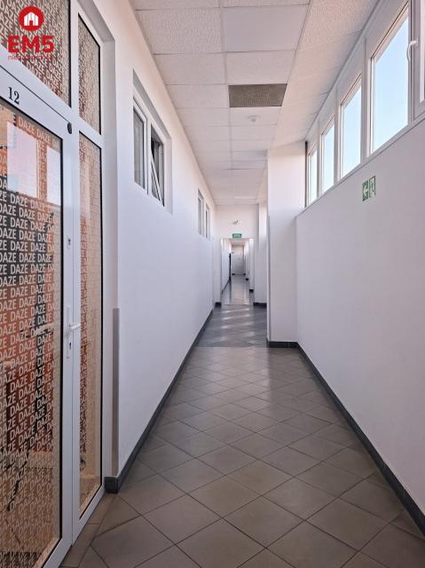 Warehouse/hall for rent