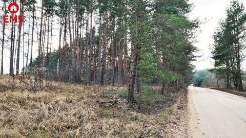 Działka 8500 m2, Jurowce