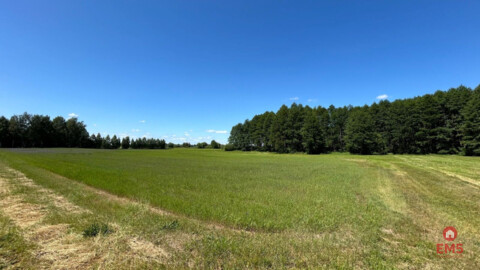 Działka rolno-budowlana 2,5 ha. Nowosiółki