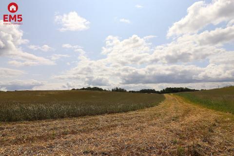 Land for sale
