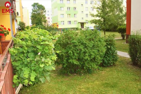 3-pokojowe mieszkanie w spokojnej okolicy