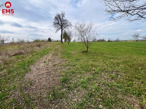 Królewskie Wzgórza, 3 km od Białegostoku.