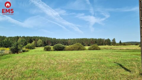 Działka rolna 0,74 ha, Królowy Most