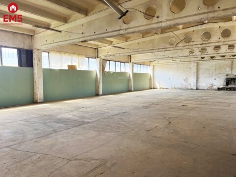Magazyn, produkcja.  700 m2