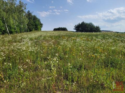 Mazury, jezioro Garbas, duża działka.