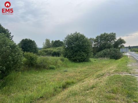 Królowy Most 2920m2 inwestycyjna