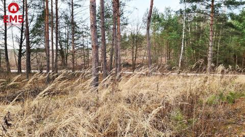 Działka 8500 m2, Jurowce