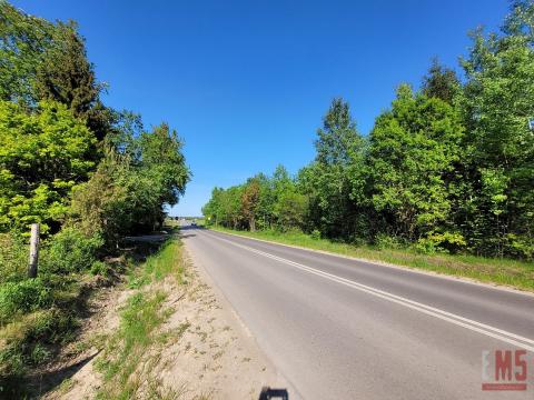 Działka marzeń w zielonej oazie - Ciasne.