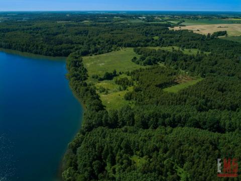 Linia brzegu nad jeziorem obok Warszawy i Gdańska