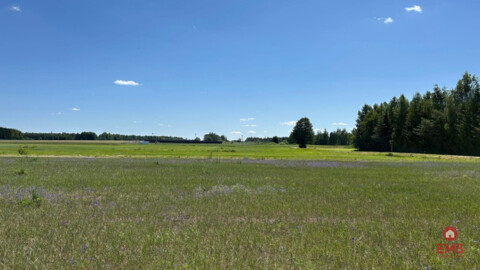 Działka rolno-budowlana 2,5 ha. Nowosiółki