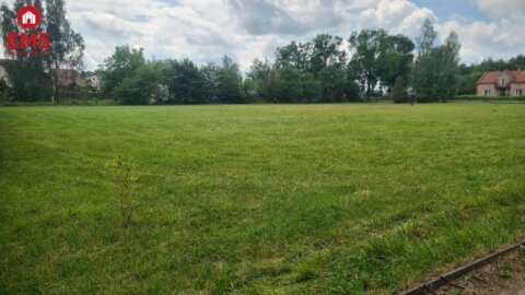 Działka budowlana 3000 m2, Bielsk Podlaski