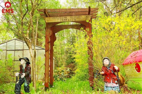 участок на продажу