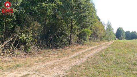 Działka budowlana 5100 m2, Ciasne