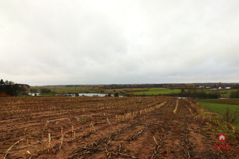 Grundstück zu verkaufen