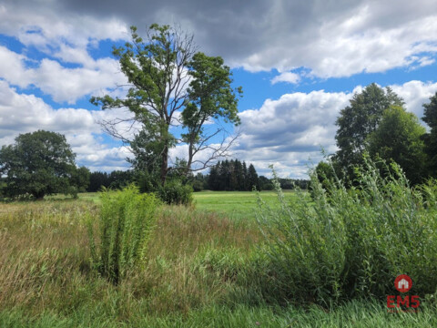 Działka budowlana wśród zieleni.
