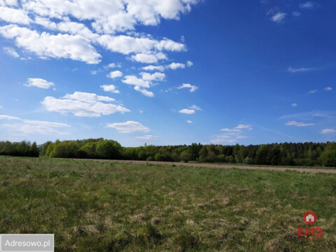 Działka inwestycyjna w pobliżu lasu.