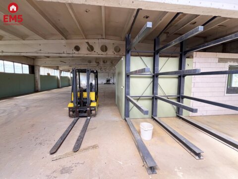 Warehouse/hall for rent