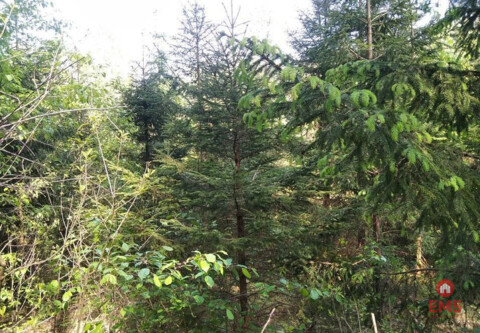 Grundstück zu verkaufen