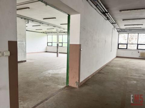 Hale 600 m2, 300 m2. Dogodna lokalizacja.