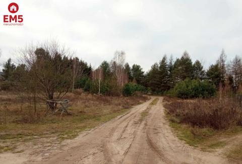 działka pod lasem blisko Białegostoku ze stawem