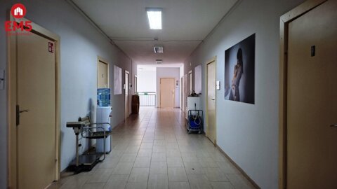 Lokal biurowy 300 m2 na wynajem