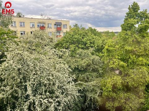 Mieszkanie dla rodziny w zielonej okolicy.
