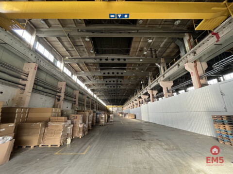 Warehouse/hall for rent