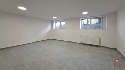 Business premises for rent