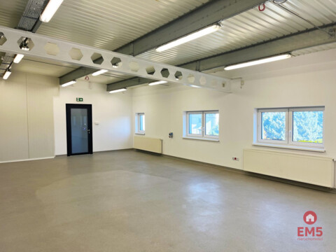 Warehouse/hall for rent