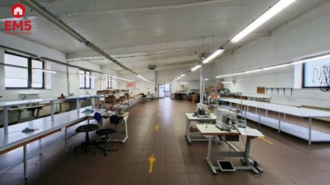 Lokal użytkowy 300 m2 na wynajem