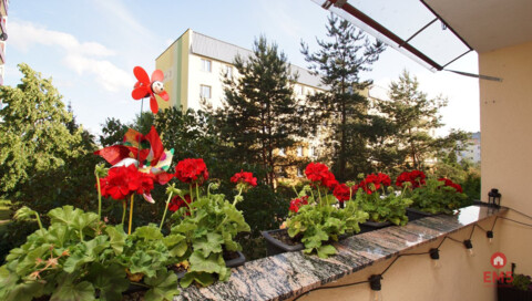 Apartment for sale