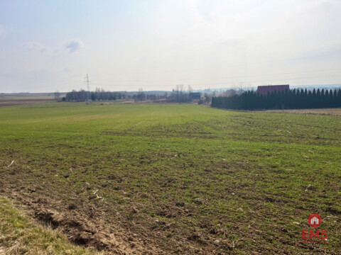 Królewskie Wzgórza, 3 km od Białegostoku.