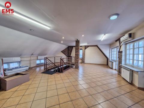Business premises for rent