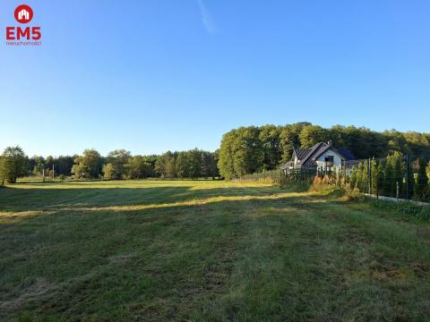 Dom w stanie surowym. Żółtki