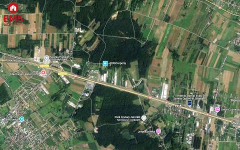 Teren 6000 m2 do wynajęcia