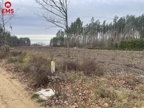 Działka pod lasem blisko Białegostoku