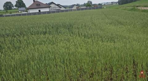 Idealne miejsce na Twój dom