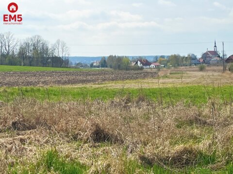 Królewskie Wzgórza, 3 km od Białegostoku.