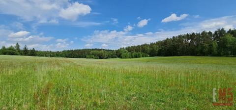 Działka na Warmii i Mazurach w znakomitej cenie!