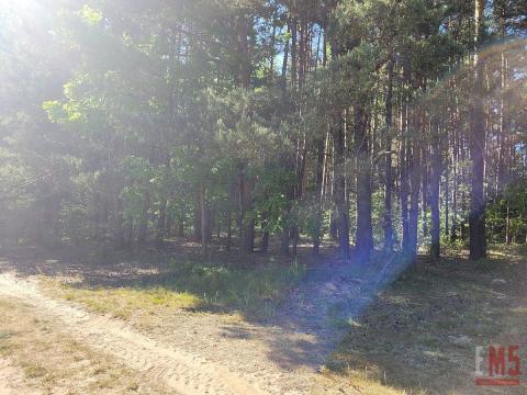 Działka z WZ w otulinie lasu w miejscowości Ciasne