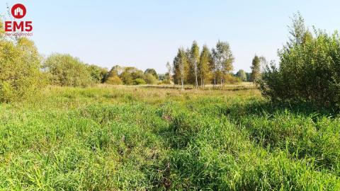 Działka budowlana 5100 m2, Ciasne