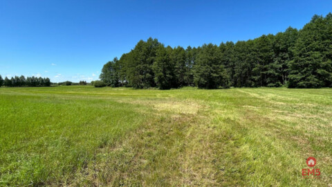 Działka rolno-budowlana 2,5 ha. Nowosiółki